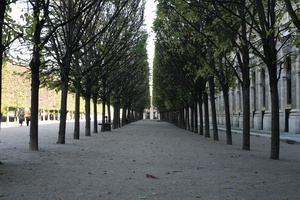 Photo Walk: Palais-Royale Gardens